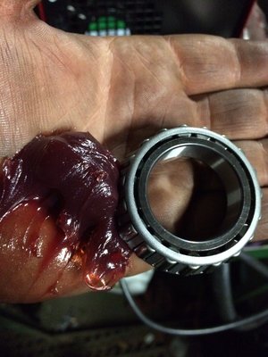 Bearings take a surprising amount of grease.