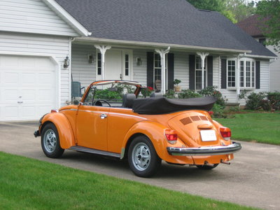 PUT THE BRA BACK ON 009.JPG