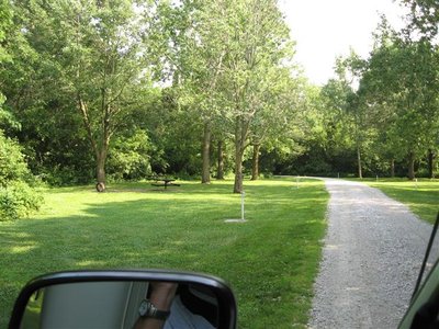 IMG_1362 (Small).JPG