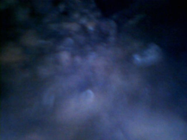 Mouse nest in heater tube 002.jpg