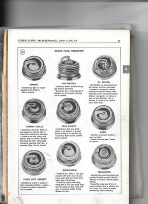 spark plugs.jpg